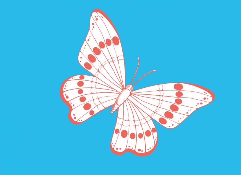 Immigration/Detention Initiative