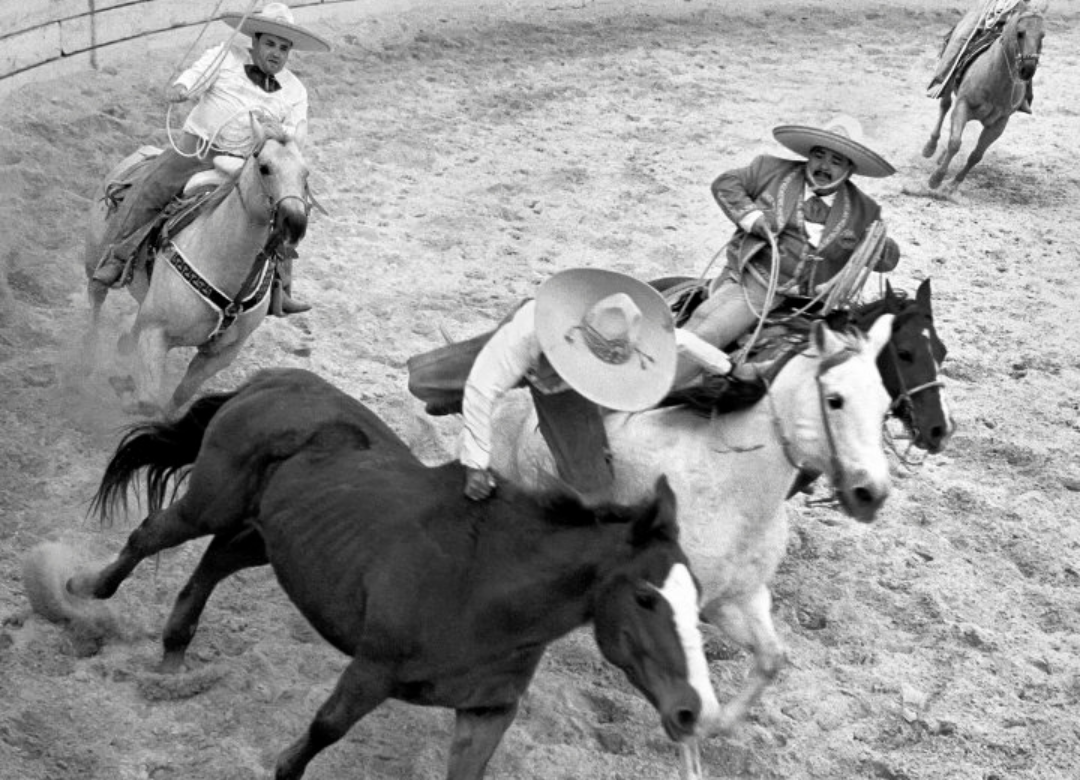 ‘Vivitos y Coleando’: The Cultural Politics of the Paisa Periphery, by Prof. Adrián Félix