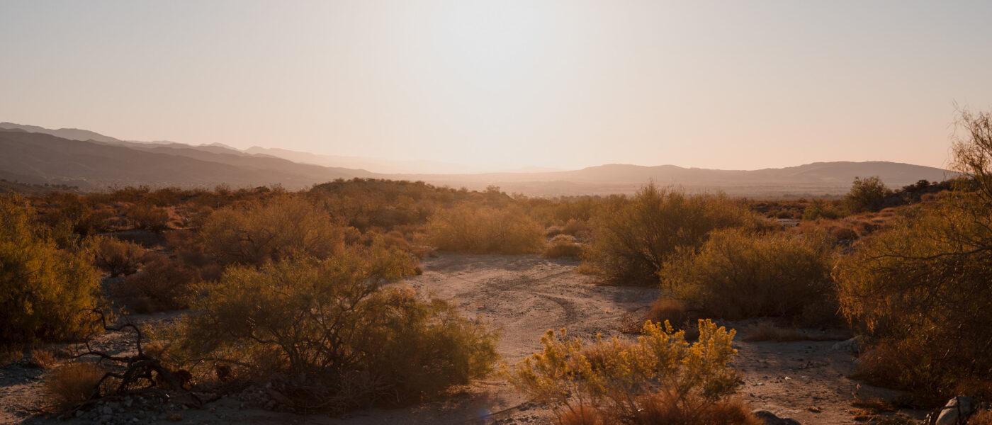 Desert X 2023: A contemporary art exhibition featuring the work of Professor Gerald Clarke.