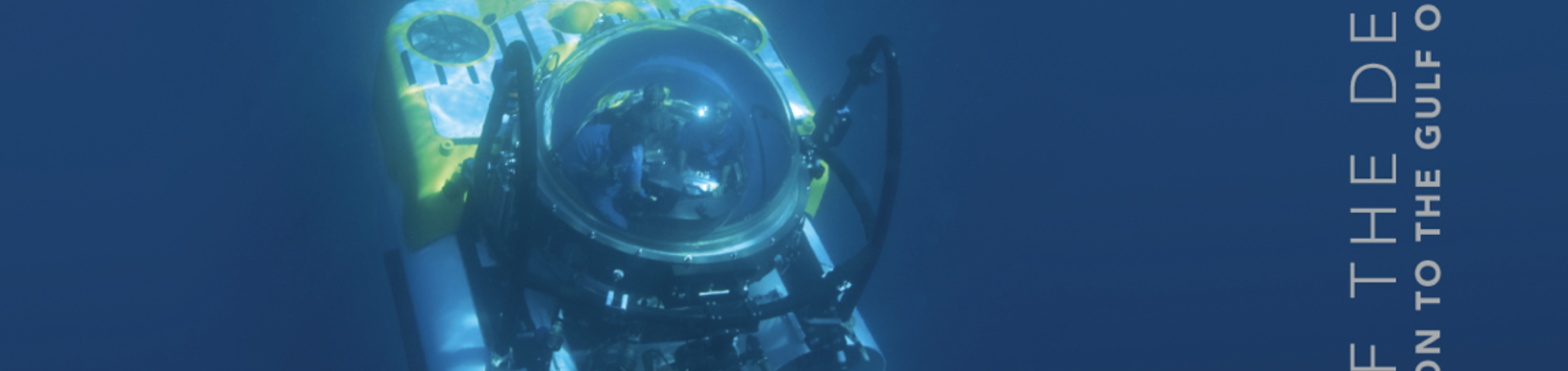 Log of the Deep Sea - Book cover