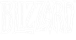 Blizzard Entertainment Logo