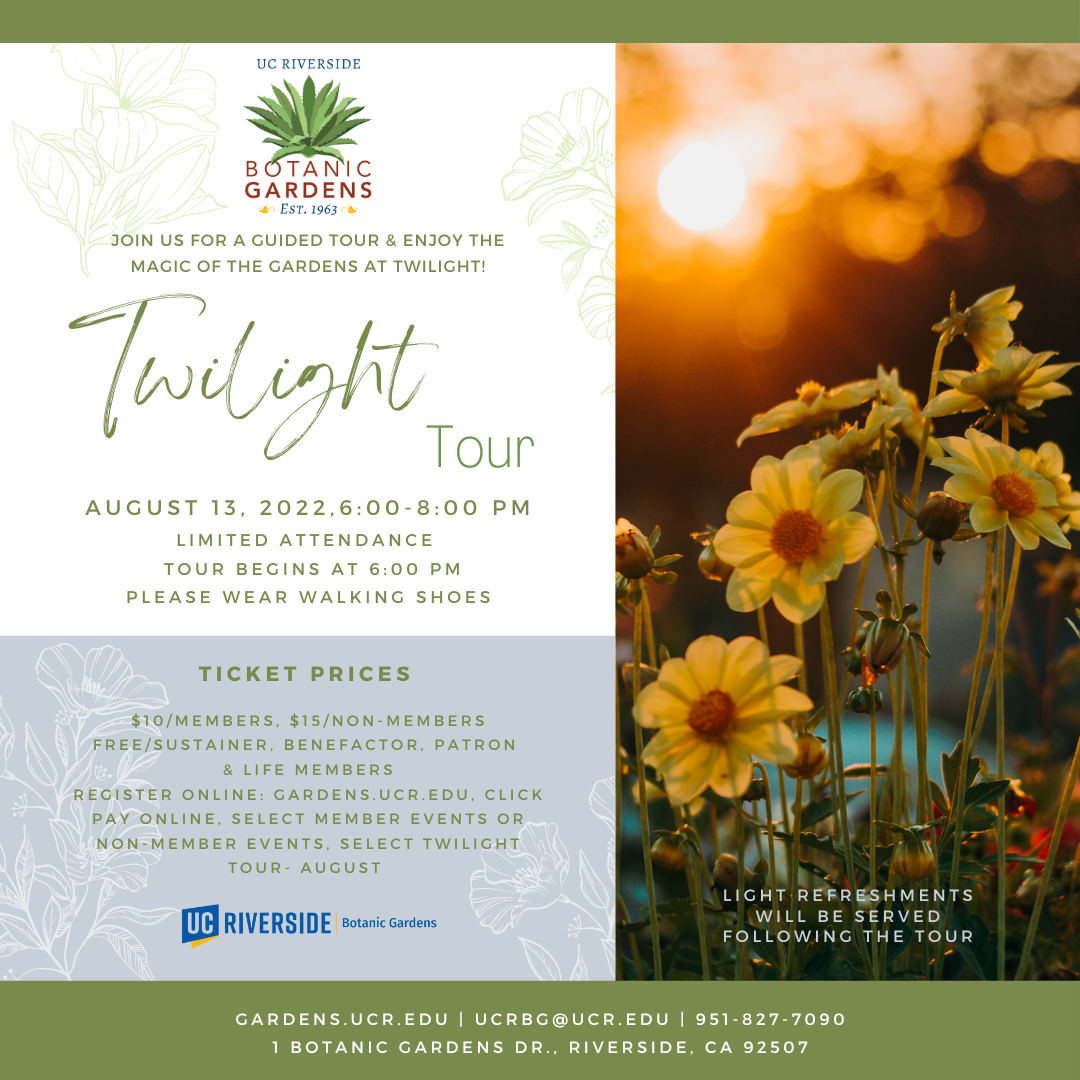 Twilight Tour August 2022