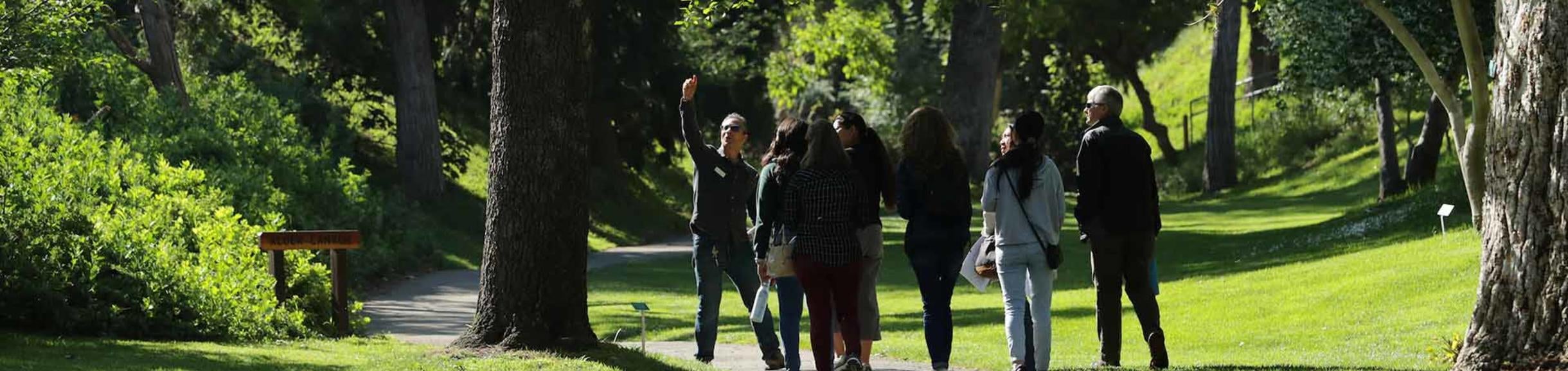 UCR Botanic Gardens, bird walk (c) UCR / Stan Lim
