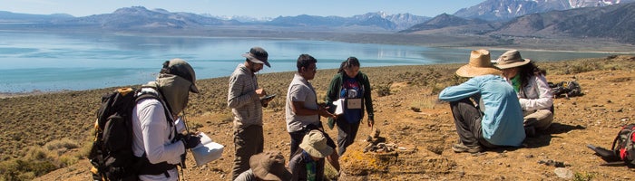 using GeoPads at Summer Field