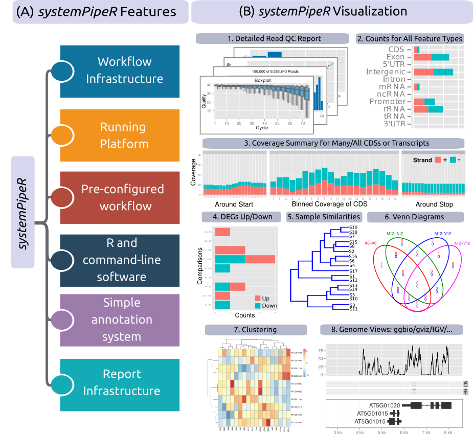 Important functionalities of systemPipeR. (A) Illustration of workflow design concepts, and (B) examples of visualization functionalities for NGS data.