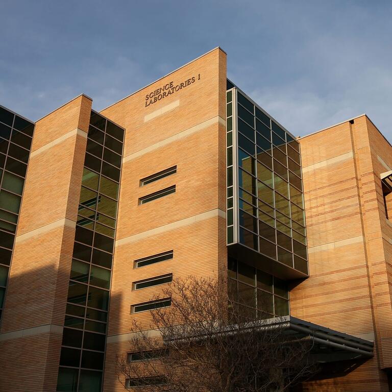 College of Natural and Agricultural Sciences