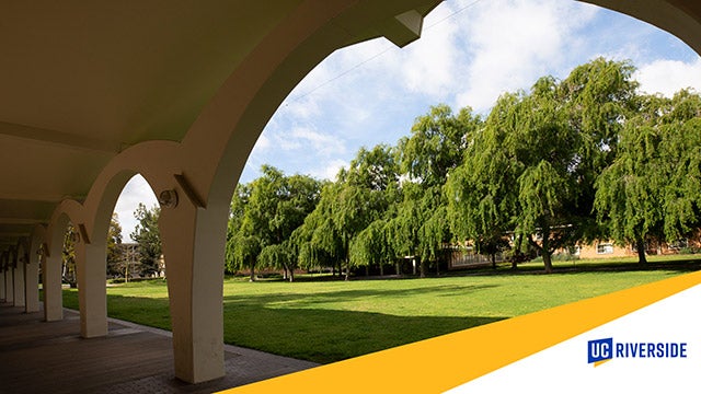 Thumbnail for the Rivera Arches Light Ray Zoom background.