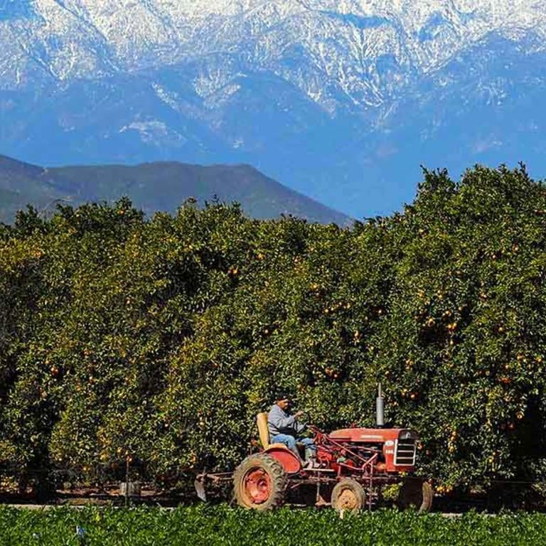 Agricultural Operations, tractor on field, (c) UCR / Stan Lim