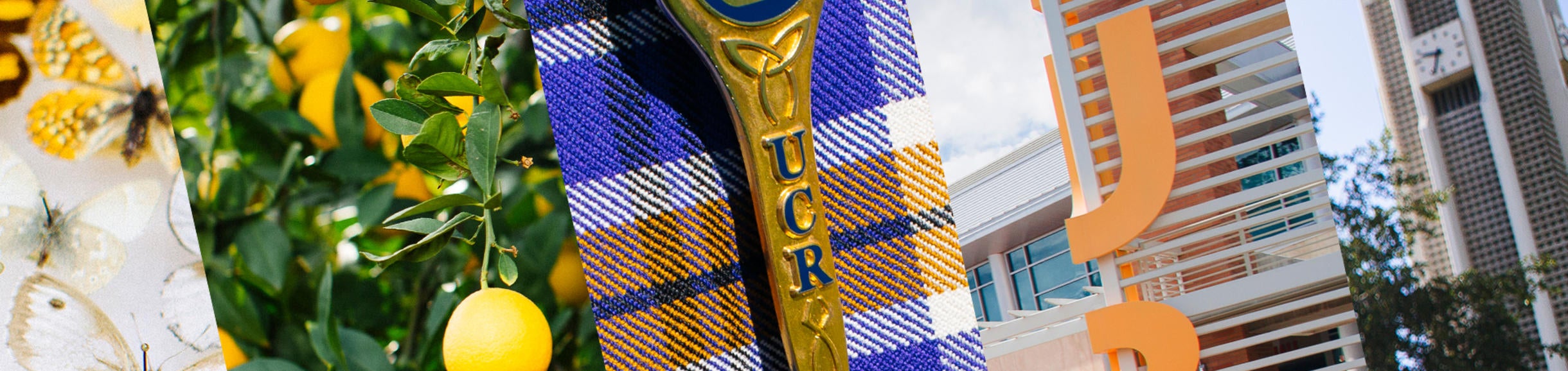 UCR Images in Diagonal