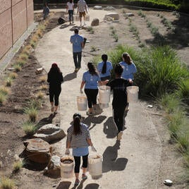 Nonprofit & Social Service