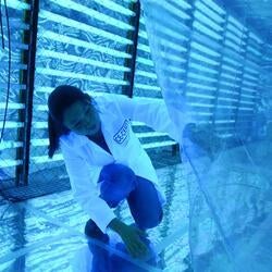 researchers in vehicle