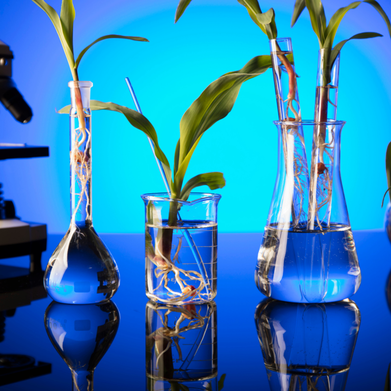 microscope and beakers with plants in them