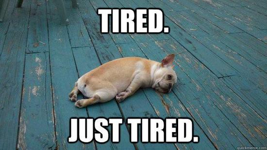 Tired Dog 