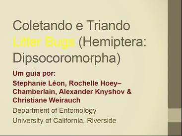 Dipso Sorting Guide Portugese