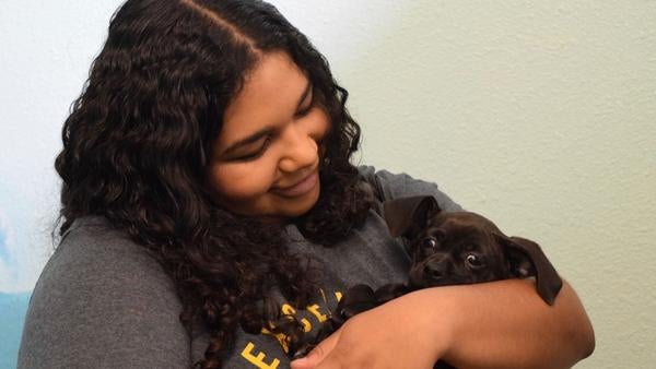 Honors Alumni Connect