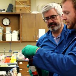 Mentor Expander Media