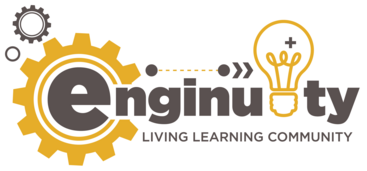 Enginuity LLC