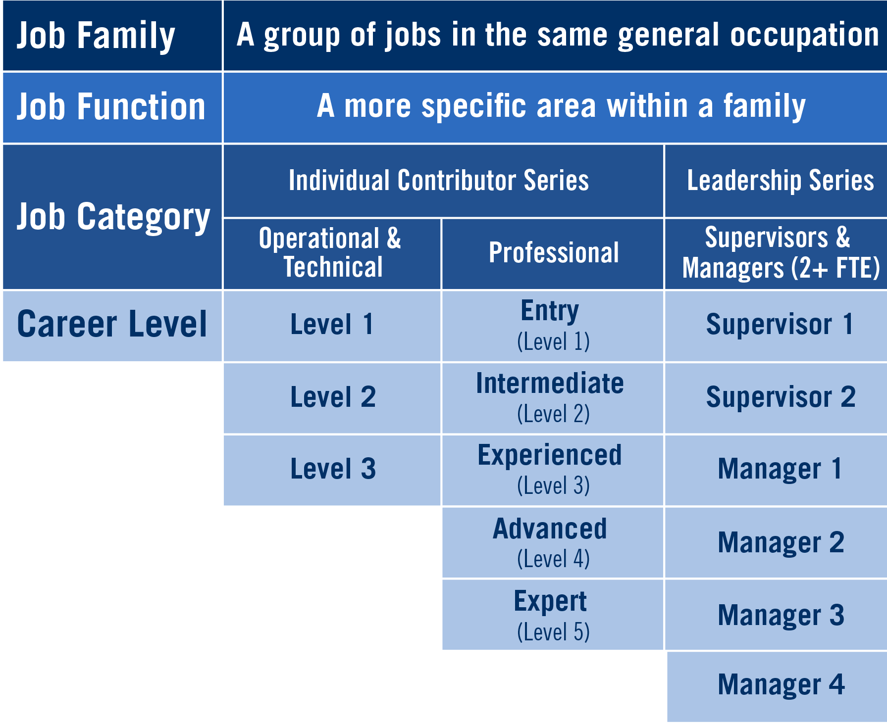 An illustrative diagram of the Career Tracks structure in various shades of blue background to highlight the variations of jobs.
