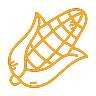 Gold outline of a corn on the cob icon.
