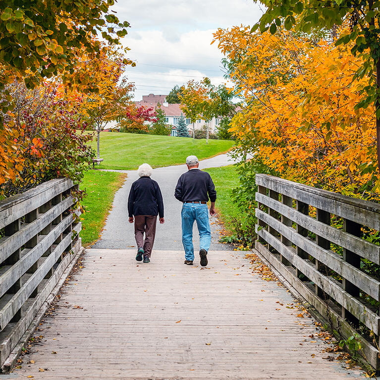Elderly Couple Walking on a Path Across a Wooden Bridge in a Park