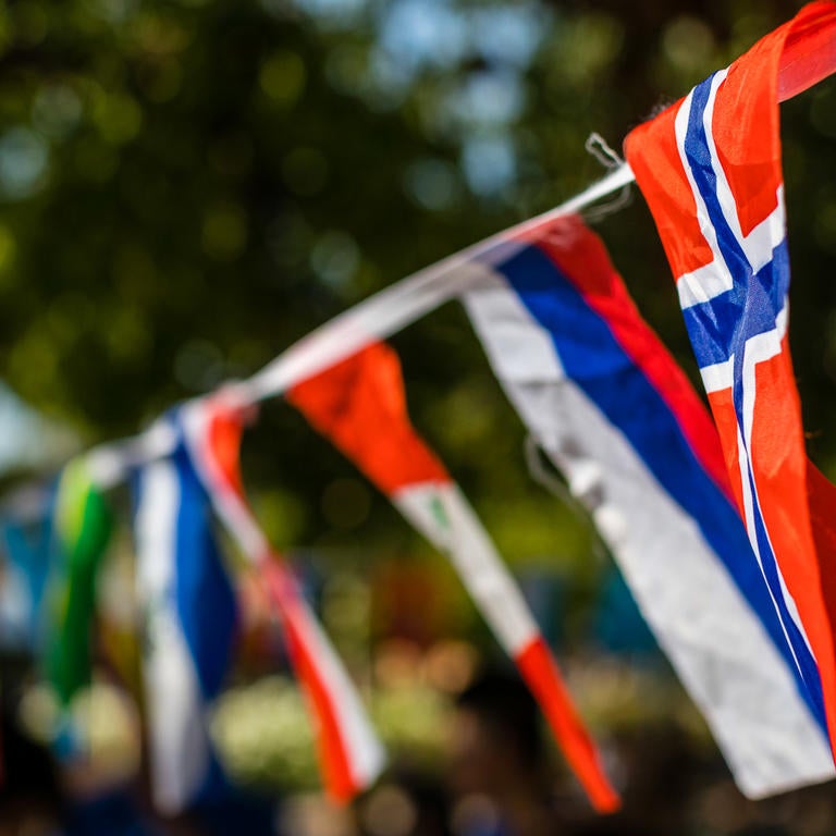 International flag banner