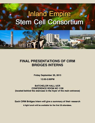 cirm bridges finals 2013