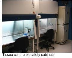 Tissue Culture Suits