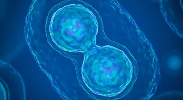 iStock- Cells Forming