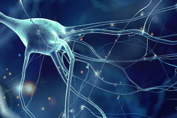 Synapse (c) unsplash