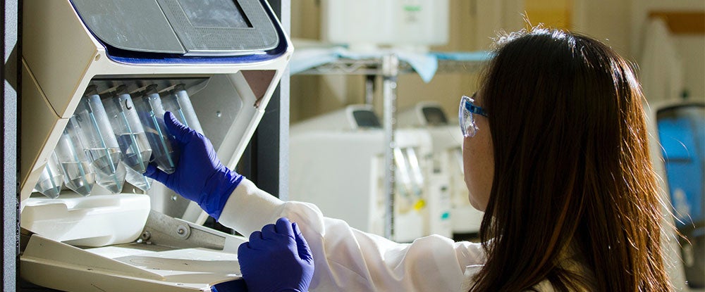 scientist in the lab (c) unsplash