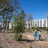 North District phase 2 construction