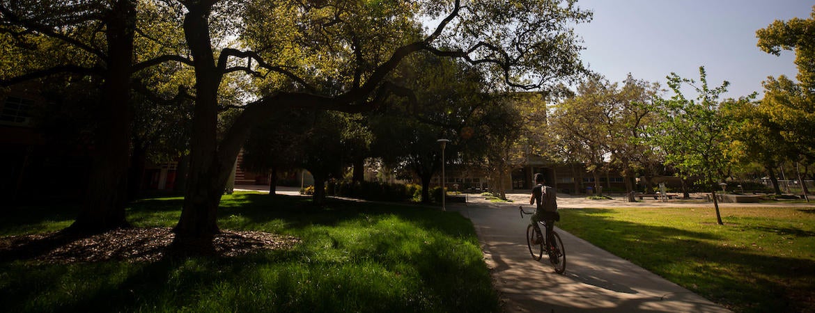 Man on bicycle on campus