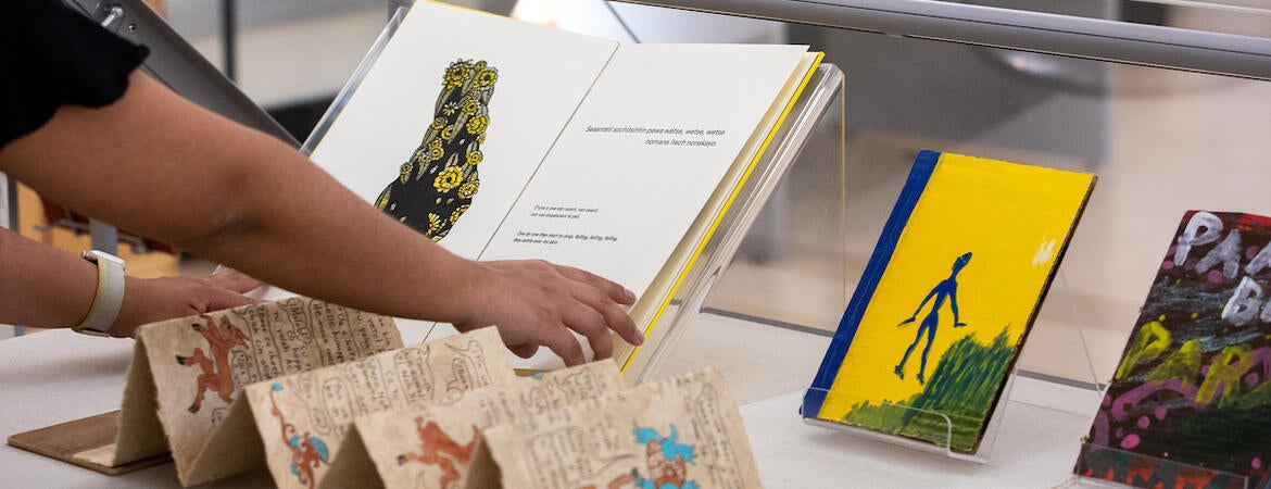 Indigenous languages display
