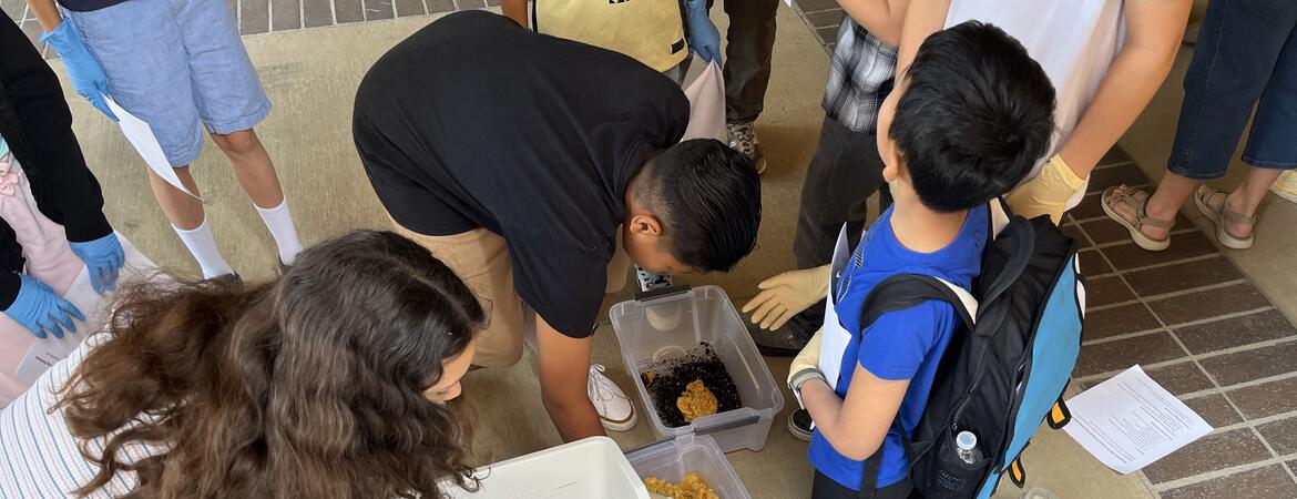 sustainability day