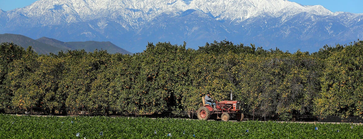 UCR ag ops tractor