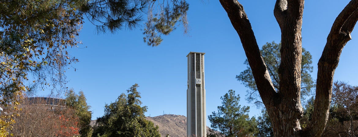 Campus bell tower view