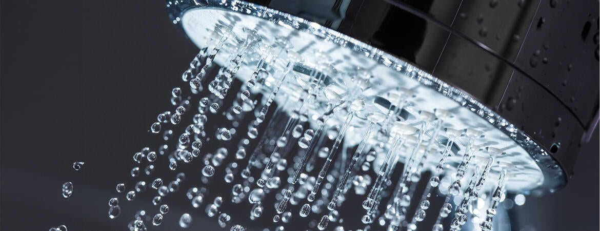 Shower head