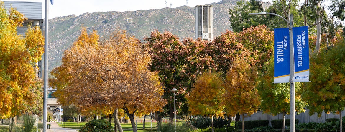 campus flagpole