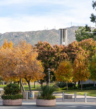 campus flagpole