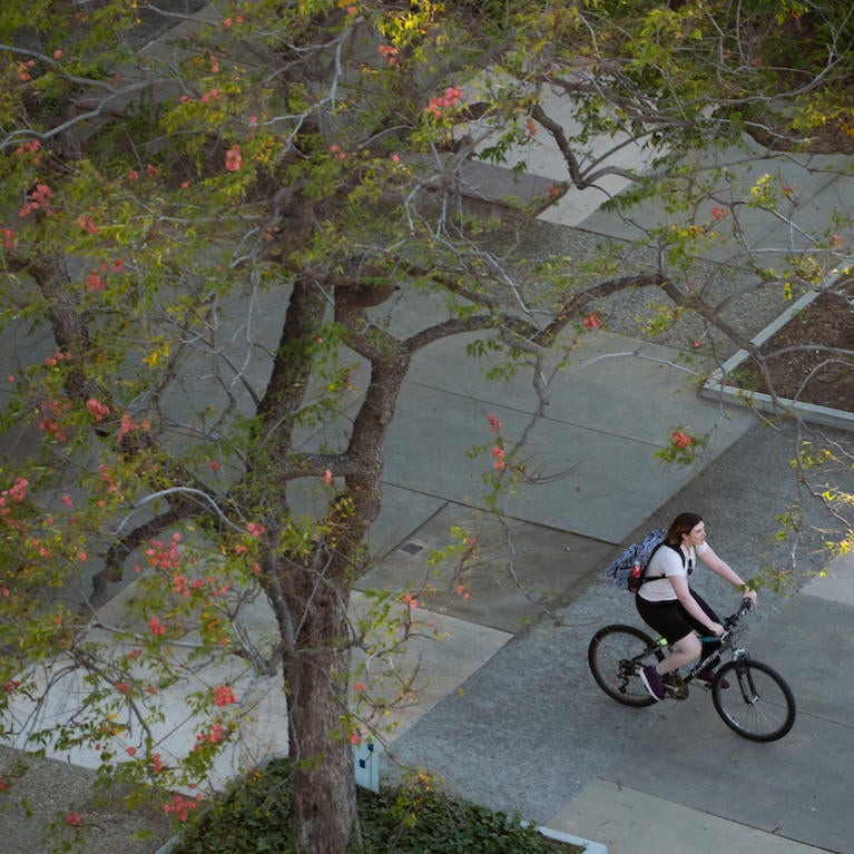 bicyclist