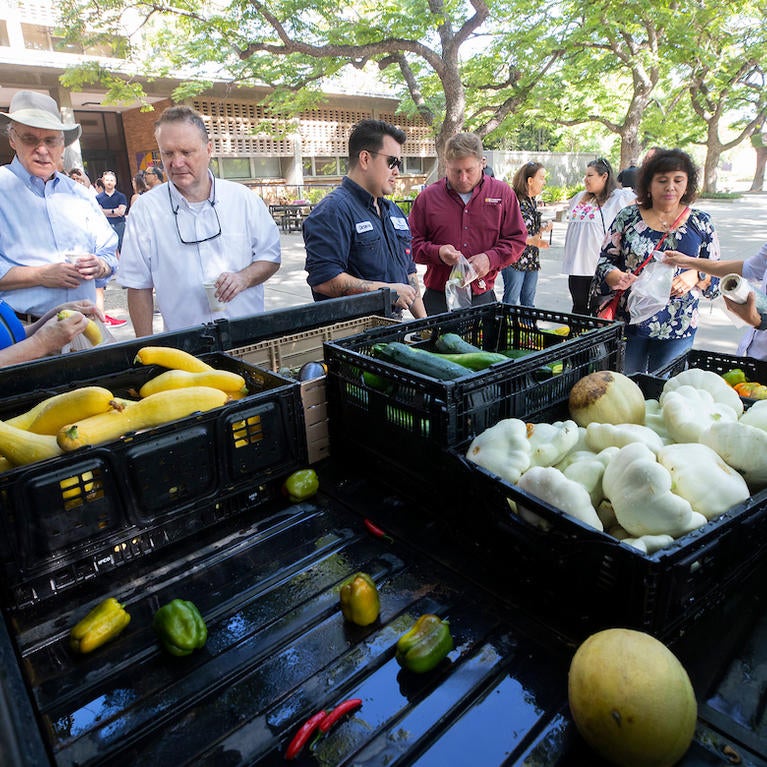Staff and faculty members