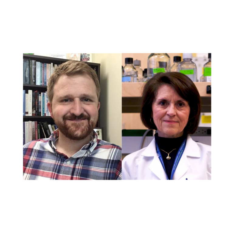 Dillman and Martins-Green