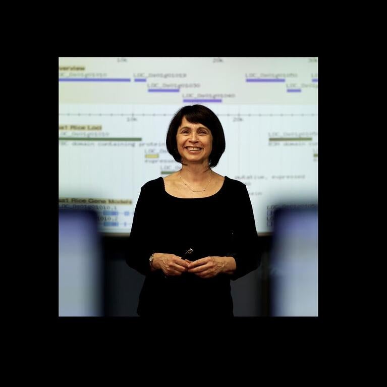 Professor Susan Wessler