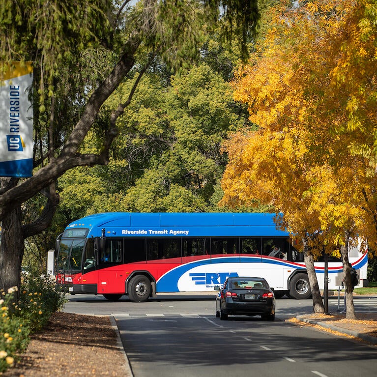 RTA bus