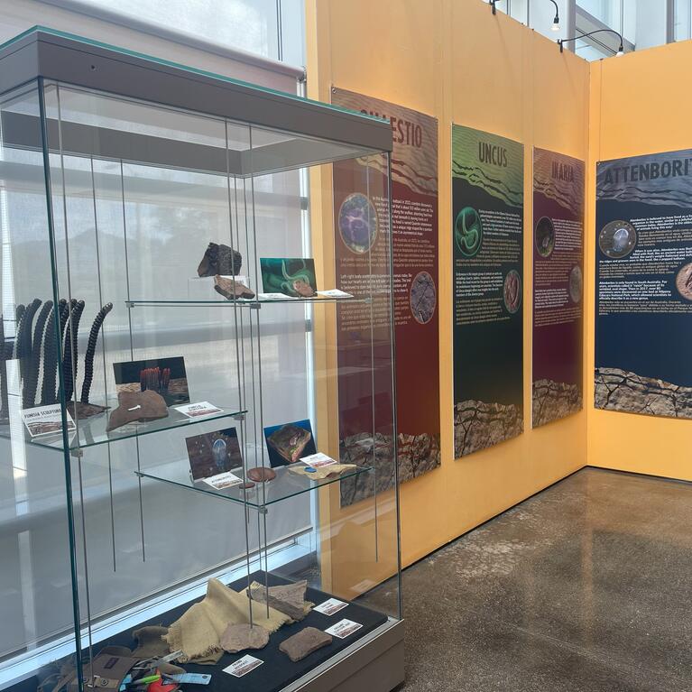 Ediacaran exhibit