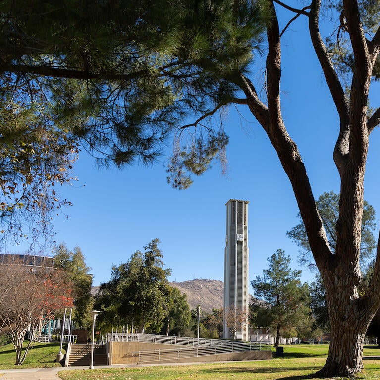 Campus bell tower view
