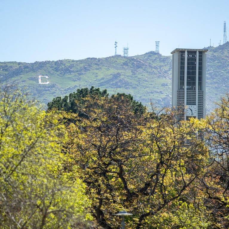 Campus belltower view