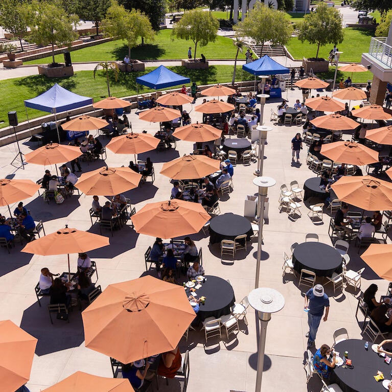 Chancellor's faculty and staff picnic