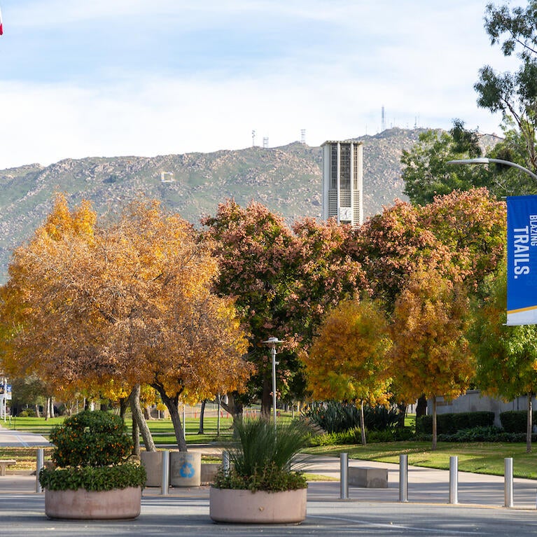 campus flagpole