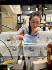 Emily Ta in the lab